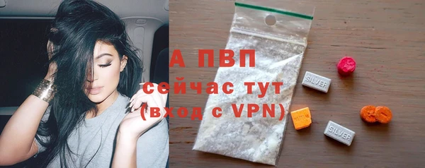 спайс Нея