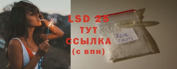 спайс Нея