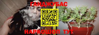 Альфа ПВП Заводоуковск