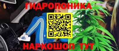 ECSTASY Заволжье