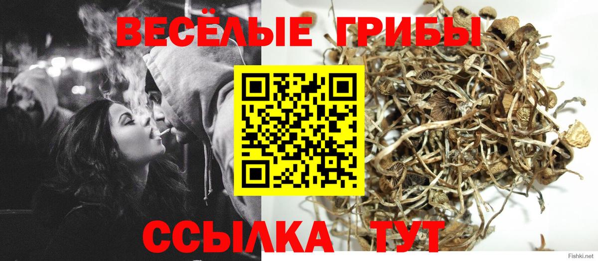 Псилоцибиновые грибы прущие грибы Советская Гавань
