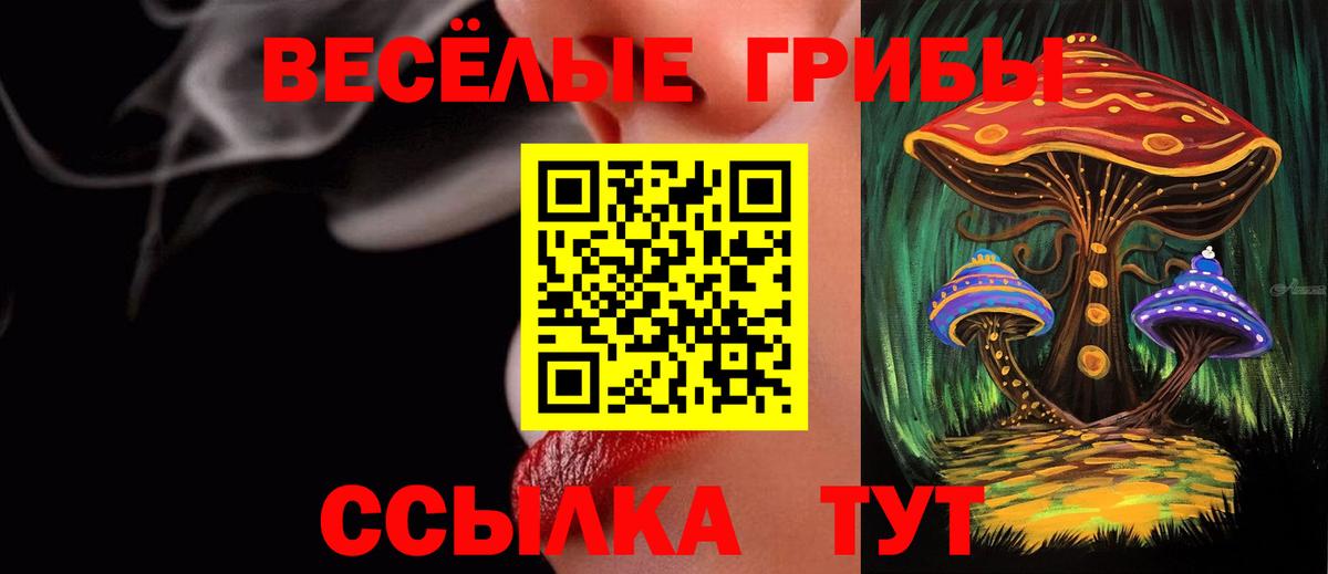 Псилоцибиновые грибы GOLDEN TEACHER  Вход с VPN  Советская Гавань 