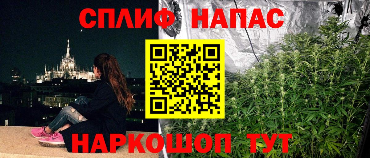 Канабис гибрид Советская Гавань